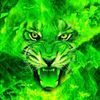 emerald_tiger