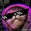 renn_cool2