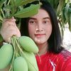 laddawangchob