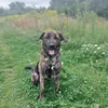 rusen_1