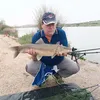 pintadix