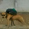doschuletas_
