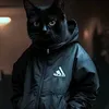 kotvmishke1