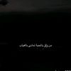 norah_1378