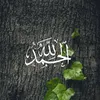 rl_a19