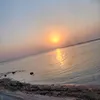 owaldlhmoud2