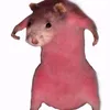evarossssss