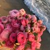 asmaahmed7400