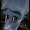 roombabuggy
