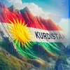 shivan.366