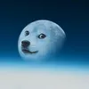 dogethesecond