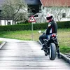 kojot944