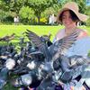 dev_with_pigeons