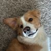 alyssam423