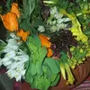 nohayla123_7