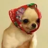 szym4nsk4
