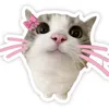 kimbutee