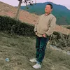 darwisawies02