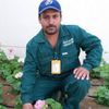 asifnazar065
