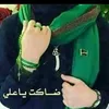 zanp31