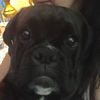 ranchochicolover