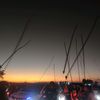 yang_baru01
