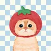 kwmslw
