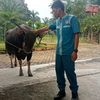 JUJUN SAHABAT TERNAK