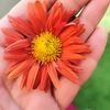fatima_kh_photographer