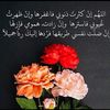 asmeali8