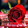 user281220879
