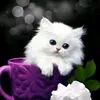 liliangutierrez01