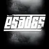 esad65musik