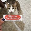 meowzazzy3