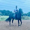 nasirfarid07
