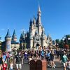 adultdisneyfreak