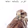 saud_03