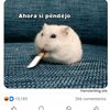 miriamedith0