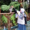 dewianggraeni891