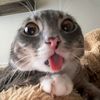 wahayyy_