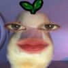anakkkb0nt0ttt