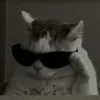 amrfhmi_