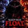 sleep_skee