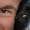 nilaandzora