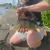 aaronhearne7