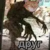 .apyr