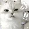 .ttlxc