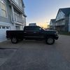 casey_pheasant