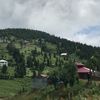 meemaa_1117