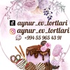 aynur_ev_tortlari